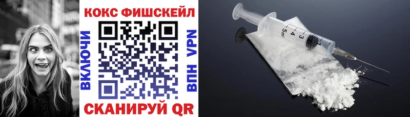 Купить закладки  Болгар  COCAIN Fish Scale 