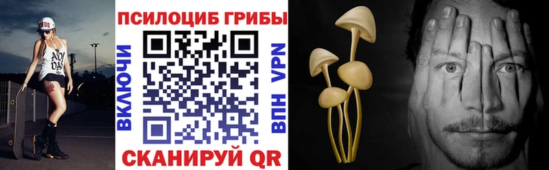 Купить где  Болгар  Галлюциногенные грибы прущие грибы 