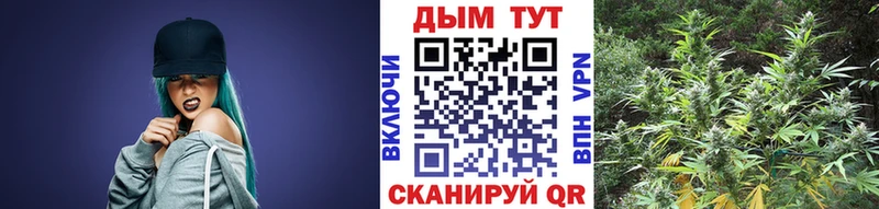 Купить где  Болгар  Каннабис тримм 